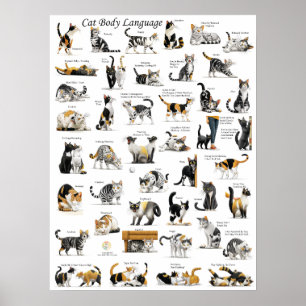 Katzensprache Poster