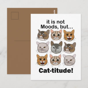 Katzenstimmung Katzengemüt Katzenliebhaber Postkarte