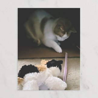 Katzenstofftier-Spielzeit-Postkarte Feiertagspostkarte