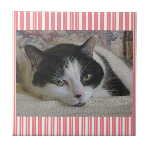 Katzenstreifen Keramik Tile Fliese