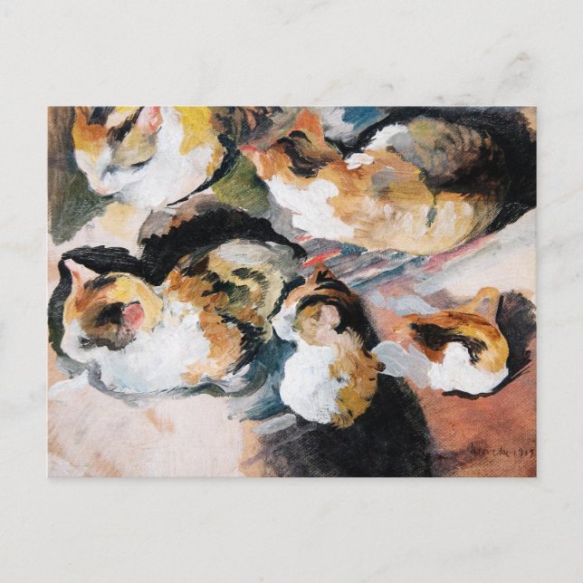 Katzenstudien (Studie einer Katze) 1909 Feiertagspostkarte (Vorderseite)