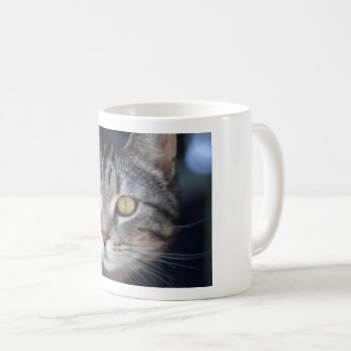 KatzenTasse Kaffeetasse