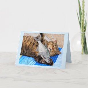 Katzentreaming zum Geburtstag von Fischen Karte