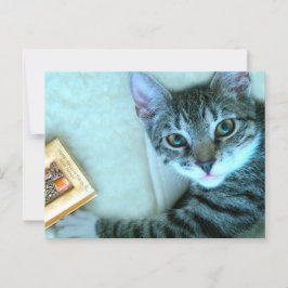 Katzenüberquerung Postkarte