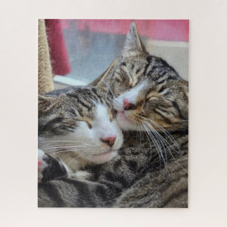 Katzenumarmungen! Puzzle