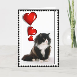 Katzenvalentin Feiertagskarte