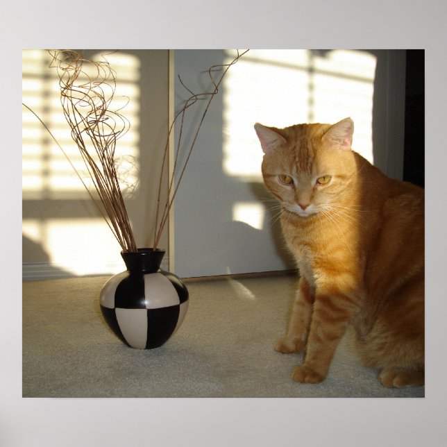 Katzenvase Poster (Vorne)