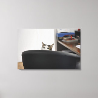 Katzenvorführung eines Bürostuhls in der Nähe Leinwanddruck