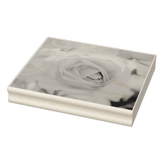 Katzenwanderung Gummistempel