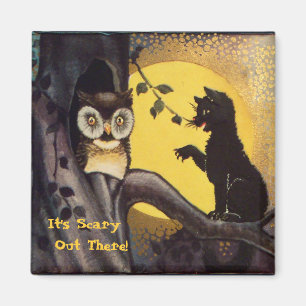Katzenwarnung Eule Halloween Magnet