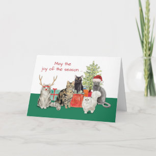 Katzenweihnachten und ein besseres neues Jahr Karte