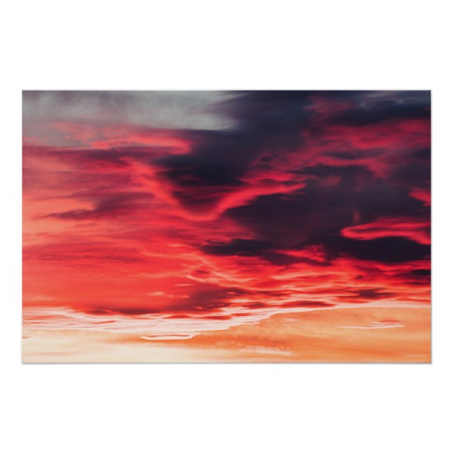 Katzenwelle Poster (Vorderseite)