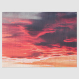 Katzenwelle Seidenpapier