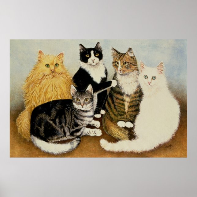 Katzenwickel Poster (Vorne)