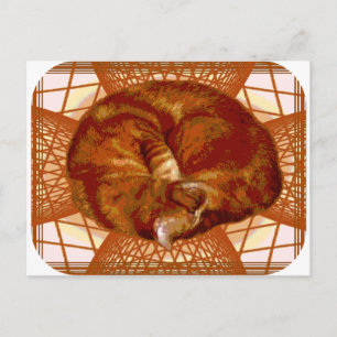 Katzenwickel Postkarte