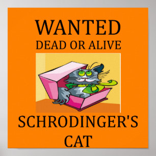 Katzenwitz der schrodingers poster
