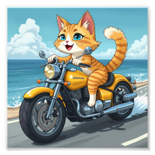 Katzenzeit Fotodruck