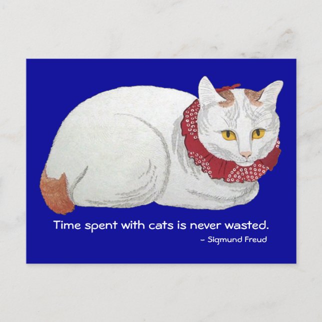 Katzenzeit Postkarte (Vorderseite)