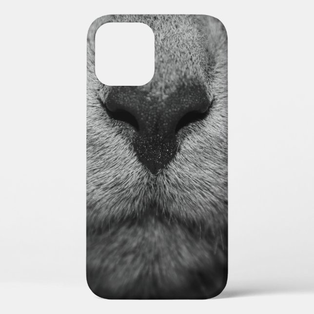 KATZKATZE IN SCHWARZ UND WEISS Case-Mate iPhone HÜLLE (Rückseite)