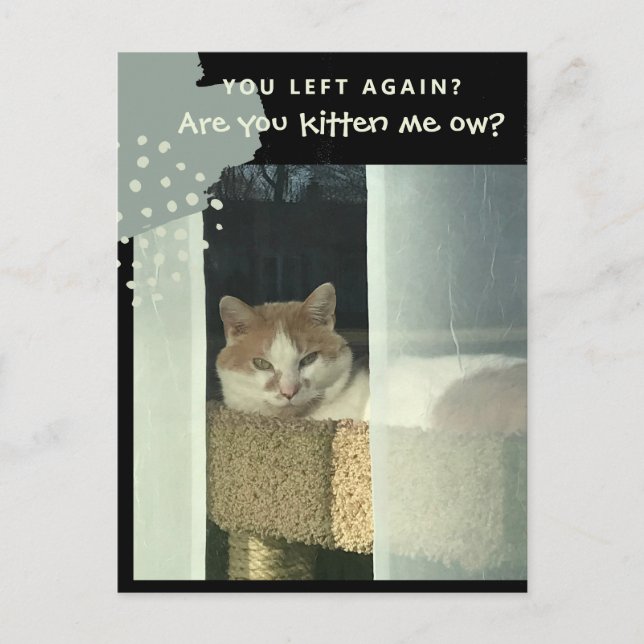 Kätzst du mich mit Cat auf Perch? Postkarte (Vorderseite)