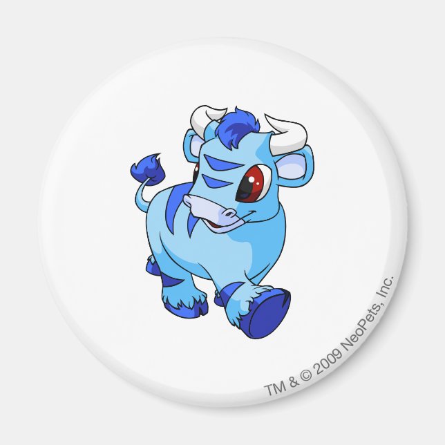 Kau Blue Magnet (Vorne)