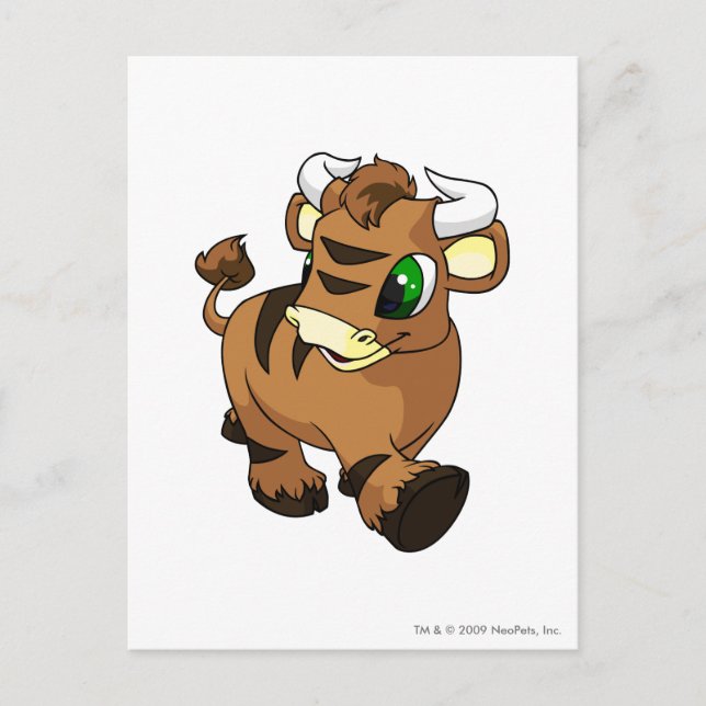Kau Brown Postkarte (Vorderseite)