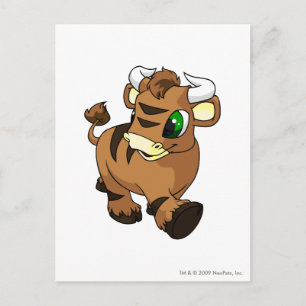 Kau Brown Postkarte