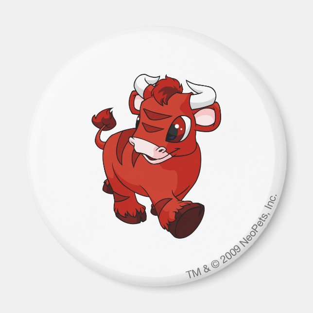 Kau Red Magnet (Vorne)