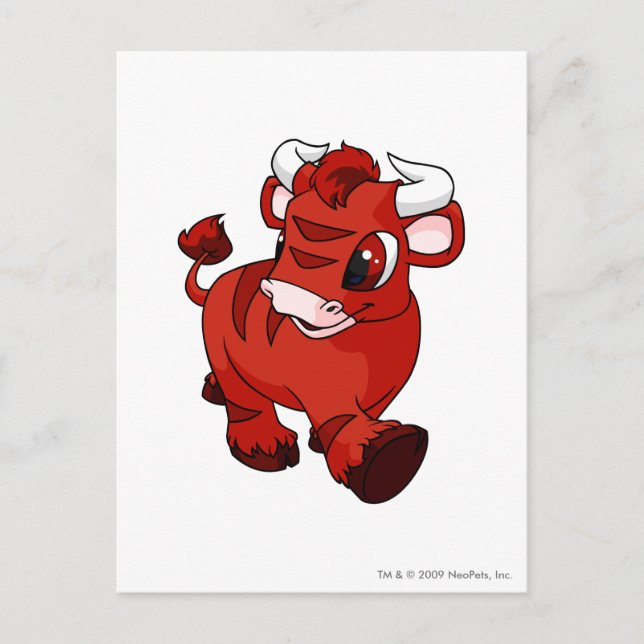 Kau rot postkarte (Vorderseite)