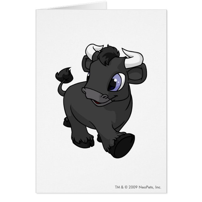 Kau-Schatten (Vorne)