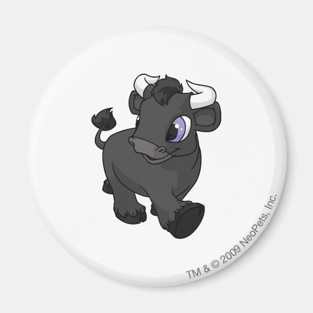 Kau Shadow Magnet (Vorne)