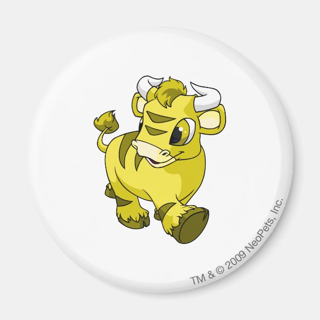 Kau Yellow Magnet (Vorne)