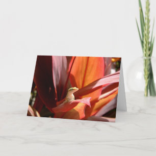 Kauai-Eidechse Karte