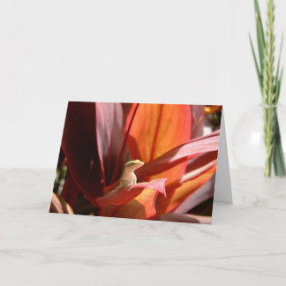 Kauai-Eidechse Karte