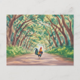 Kauai  Hahn geht auf einen Tunnel aus Bäumen zu Postkarte