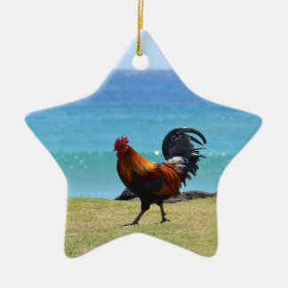 Kauai-Hahn Keramikornament