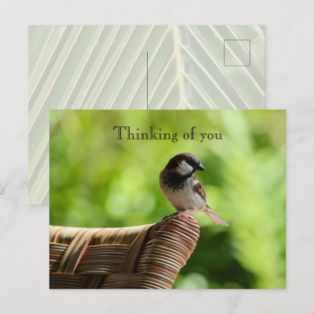 Kauai Hawaii Bird On Chair Denken Sie an Sie Postkarte (Vorne/Hinten)