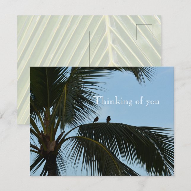 Kauai Hawaii Birds in Palm Tree Postkarte (Vorne/Hinten)