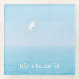 Kauai Hawaii Ozean Rot Schwanz-Tropikvogel fliegt  Glasuntersetzer