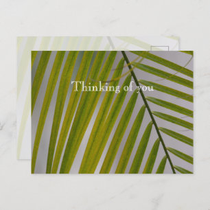 Kauai Hawaii Palm Tree Postkarte