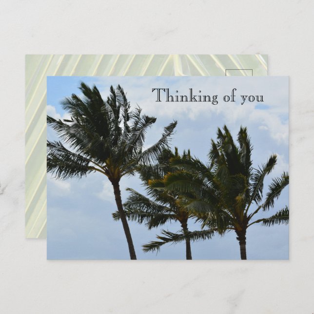 Kauai Hawaii Palm Trees Postkarte (Vorne/Hinten)
