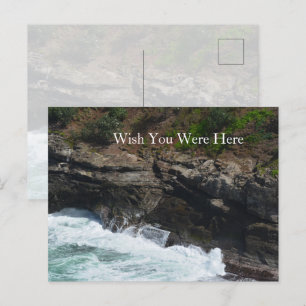 Kauai Hawaii Peacock Feathers Postkarte