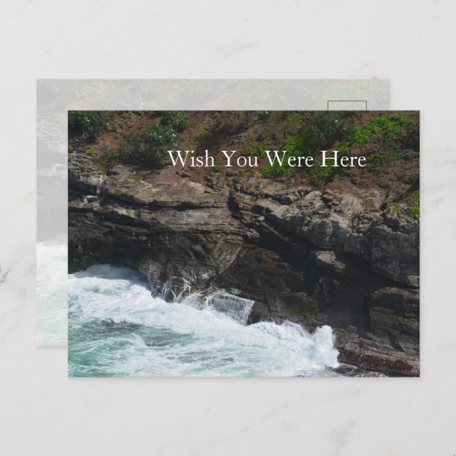 Kauai Hawaii Peacock Feathers Postkarte (Vorne/Hinten)