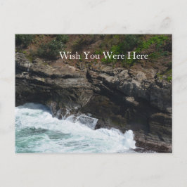 Kauai Hawaii Peacock Feathers Postkarte