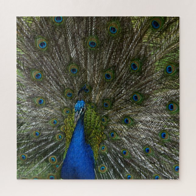 Kauai Hawaii Peacock Feathers Puzzle (Vertikal)