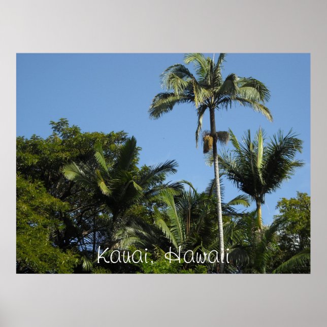 Kauai, Hawaii Poster (Vorne)