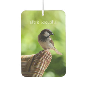 Kauai Hawaii Vogel (meine Fotografie) Autolufterfrischer