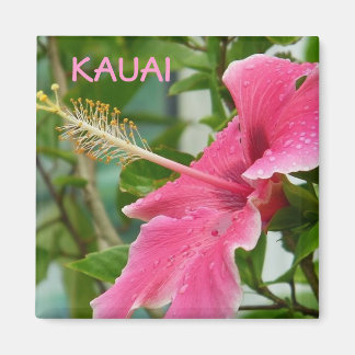 Kauai Hawaiian Tropical Blume Hibiskus Magnet