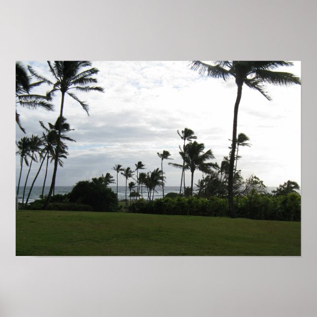 Kauai Palm Poster (Vorne)
