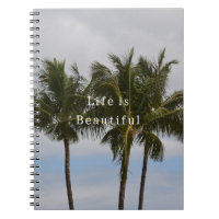 Kauai-Palmen (von mir fotografiert)